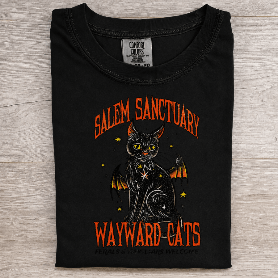 Salem Sanctuary Black Cat Graphic Tee - Patriot Level