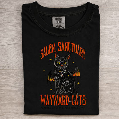 Salem Sanctuary Black Cat Graphic Tee - Patriot Level
