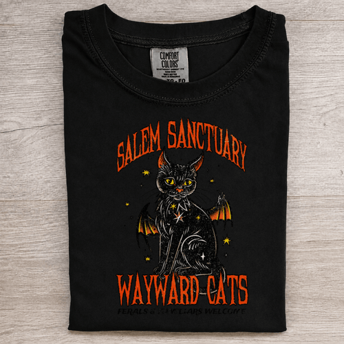 Salem Sanctuary Black Cat Graphic Tee - Patriot Level